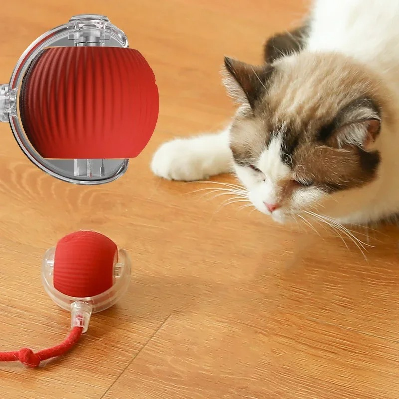 Interactive Cat Toy
