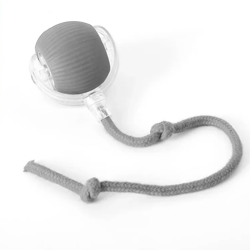 Interactive Cat Toy