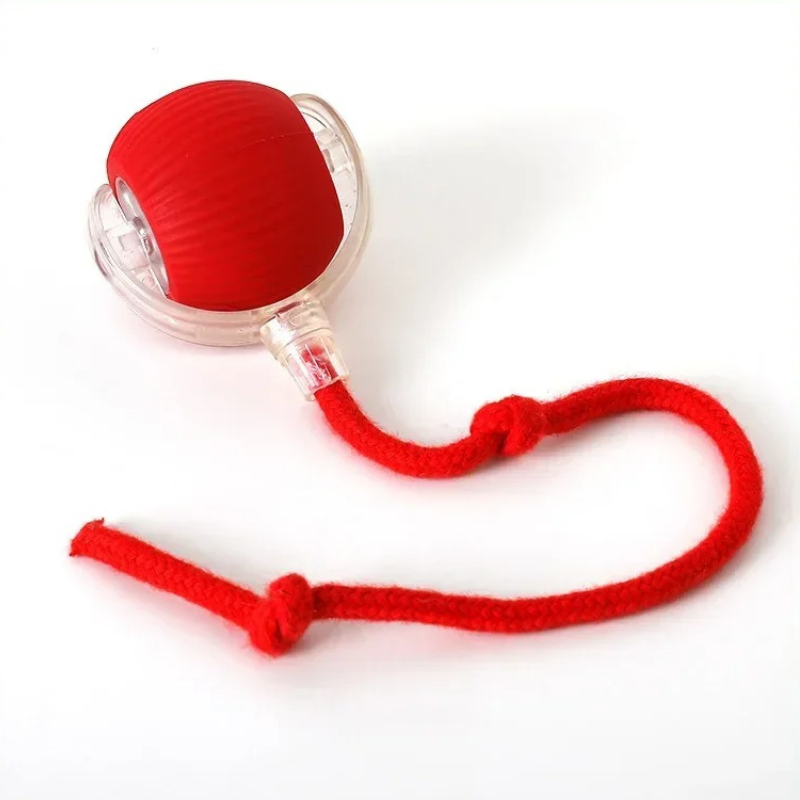 Interactive Cat Toy