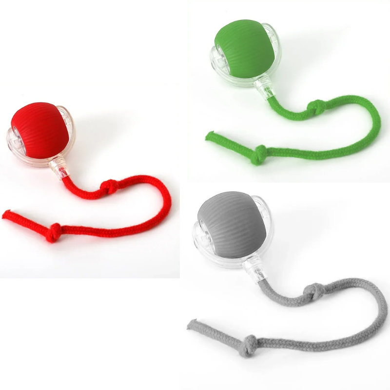 Interactive Cat Toy